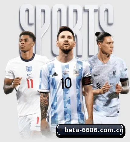 五大服务分区,信息按项目分类